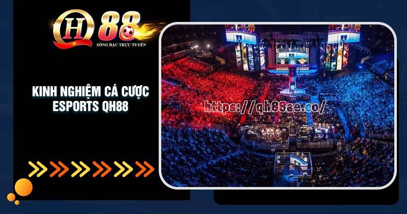 Kinh nghiệm cá cược Esports QH88 hay như chuyên gia